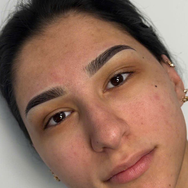 Nano ombre powder brows in Sarasota FL